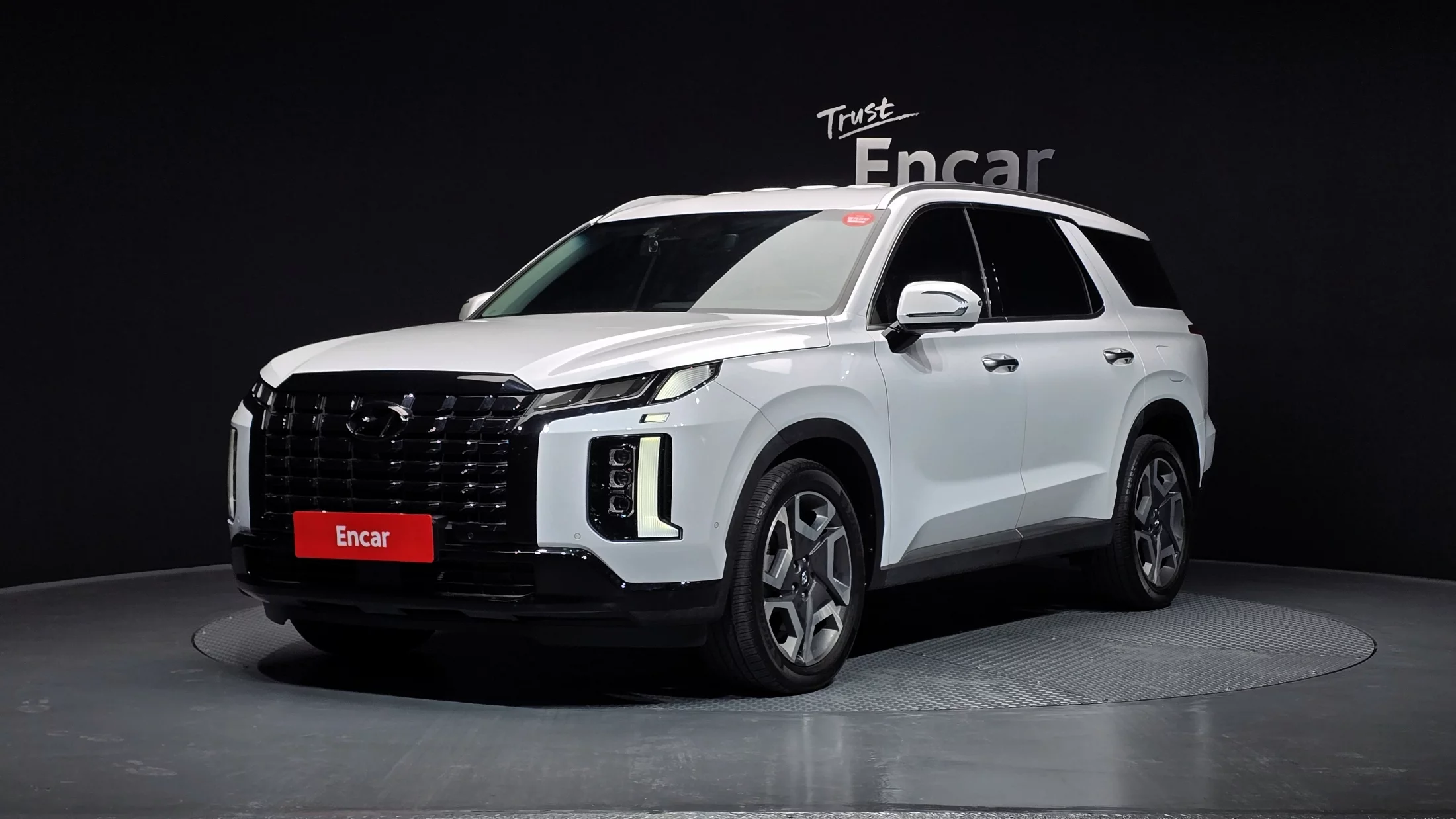 Hyundai Palisade I Рестайлинг