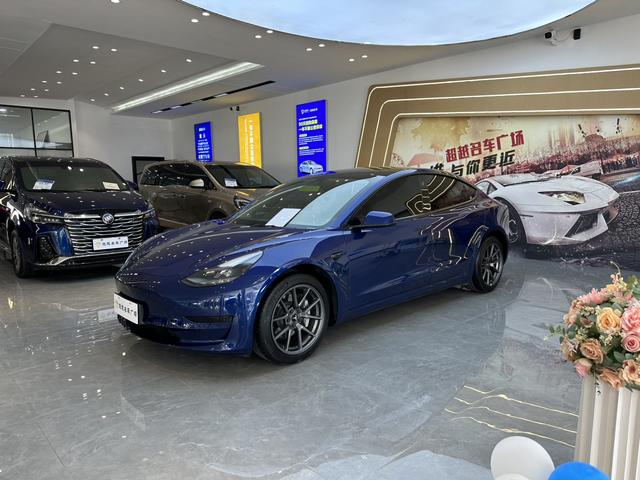 Tesla Model 3 I