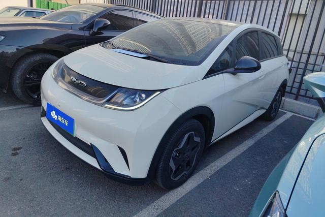 Byd Dolphin №18138073 2023