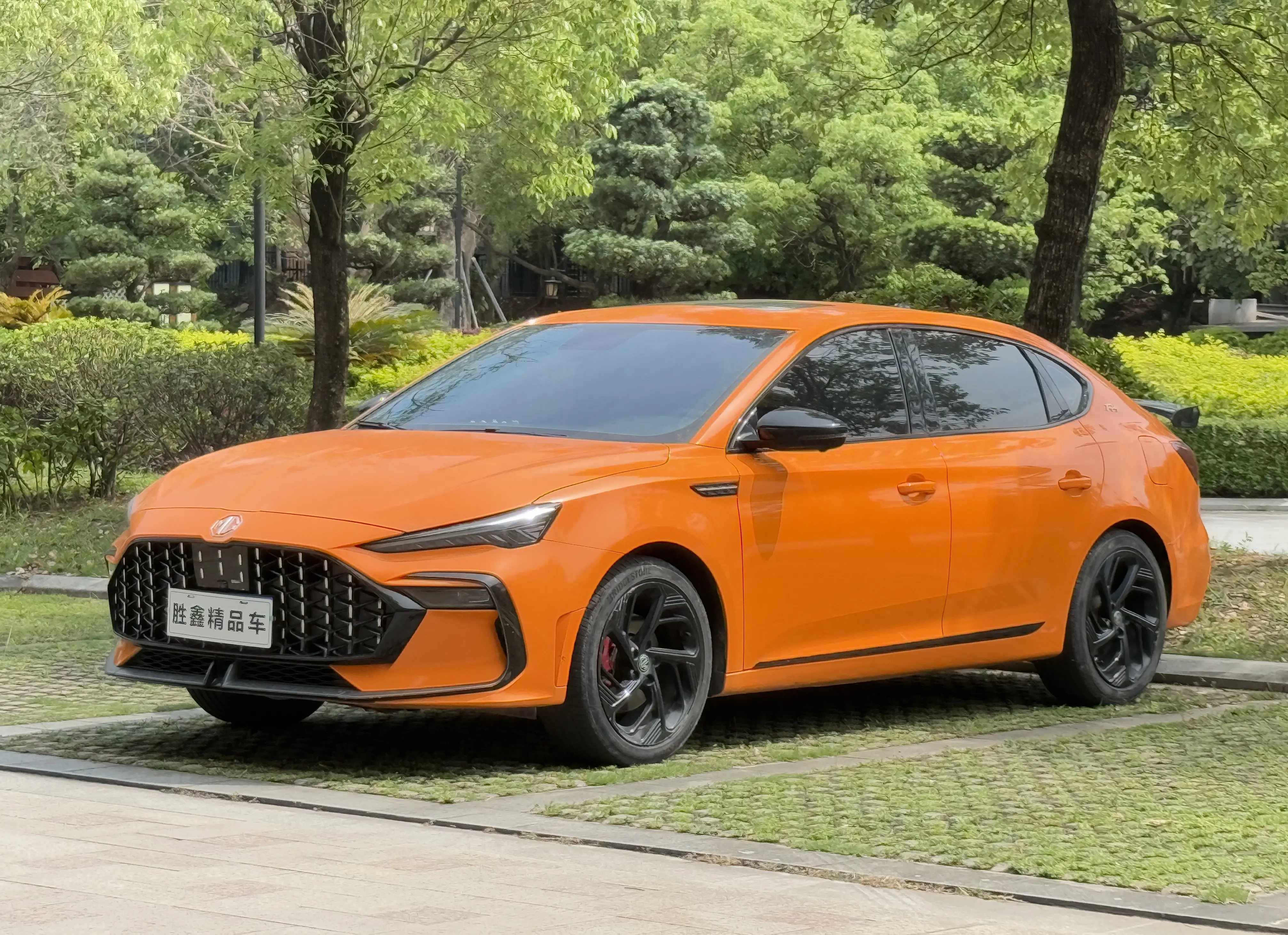 Mg 6 №19135703 2022