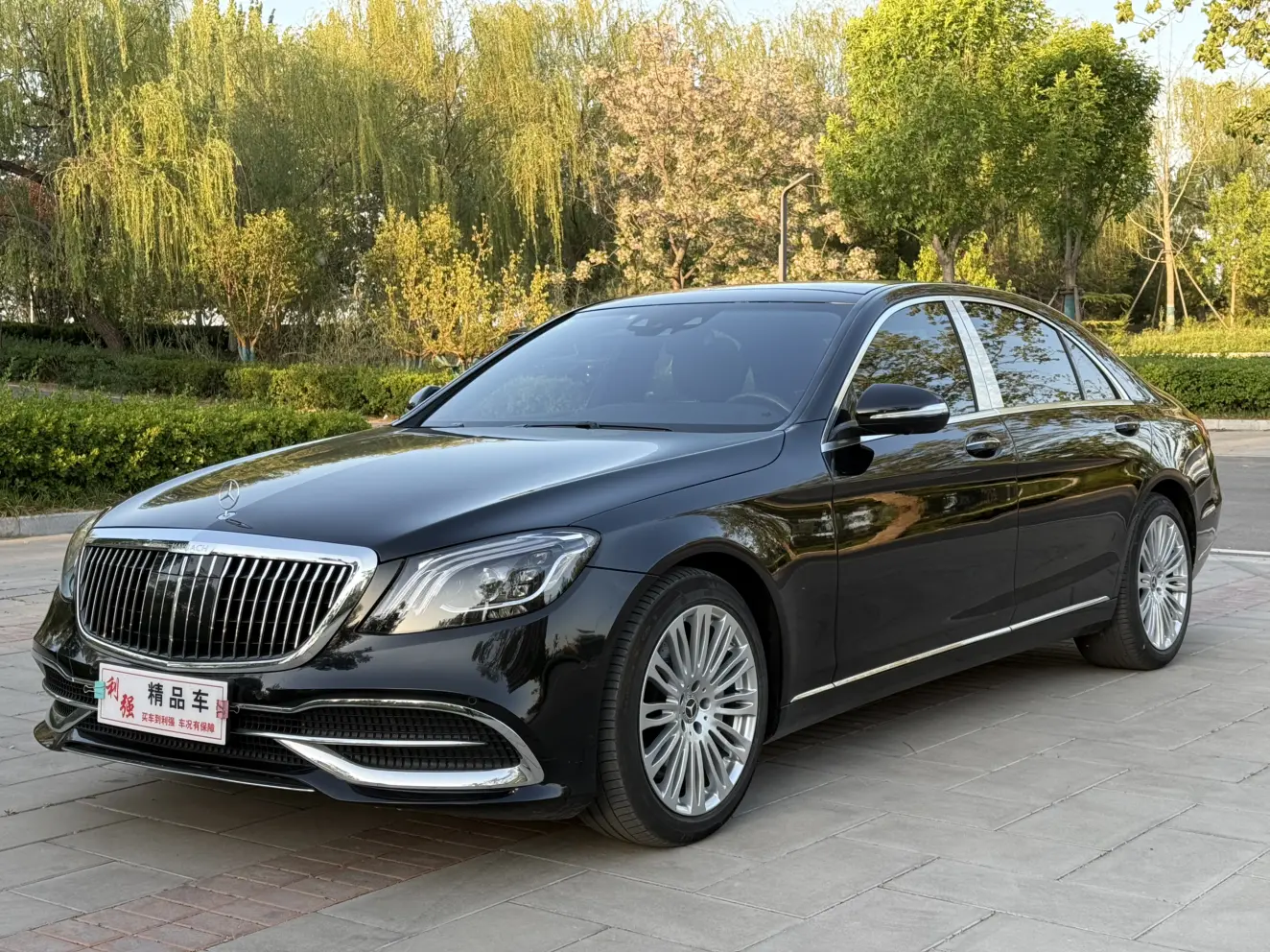 Mercedes-Benz Mercedes Benz S Class №19058599 2015