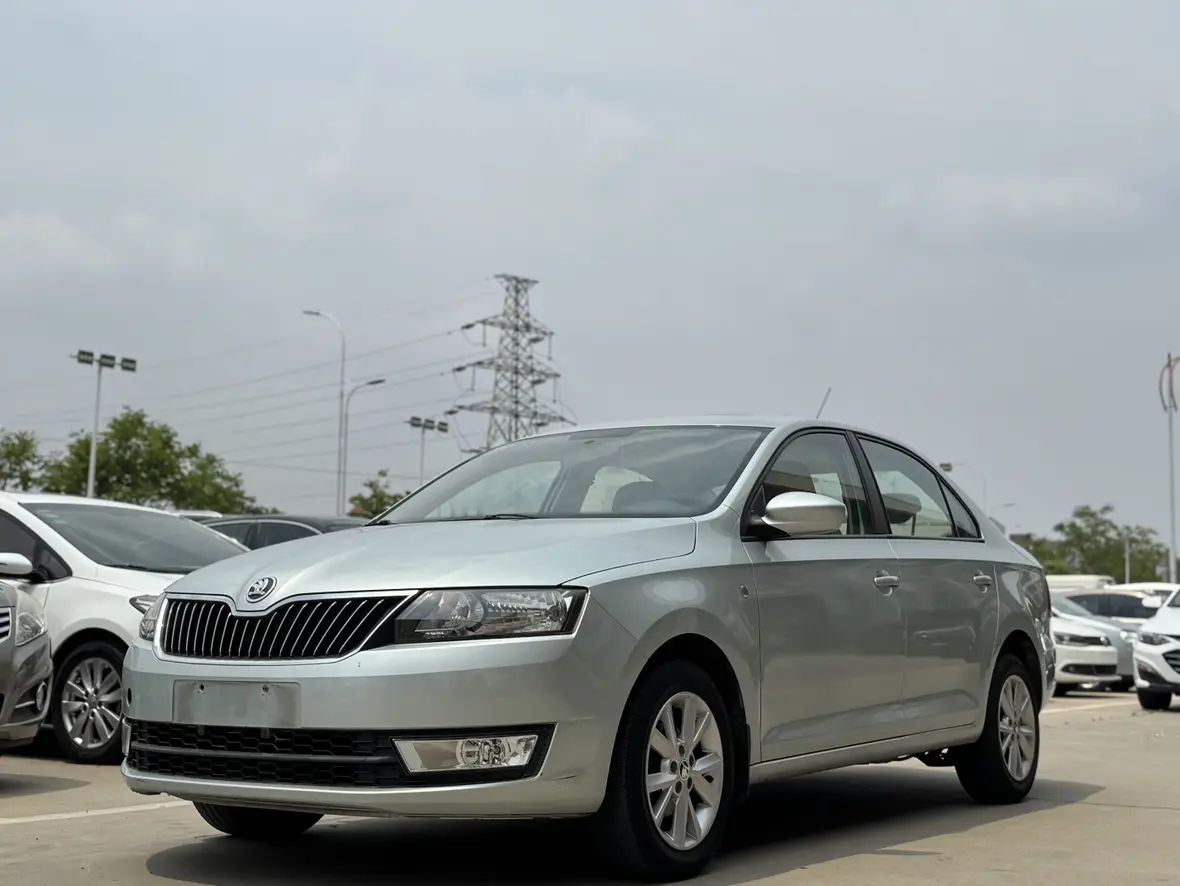 Skoda Xin Rui №19382790 2013