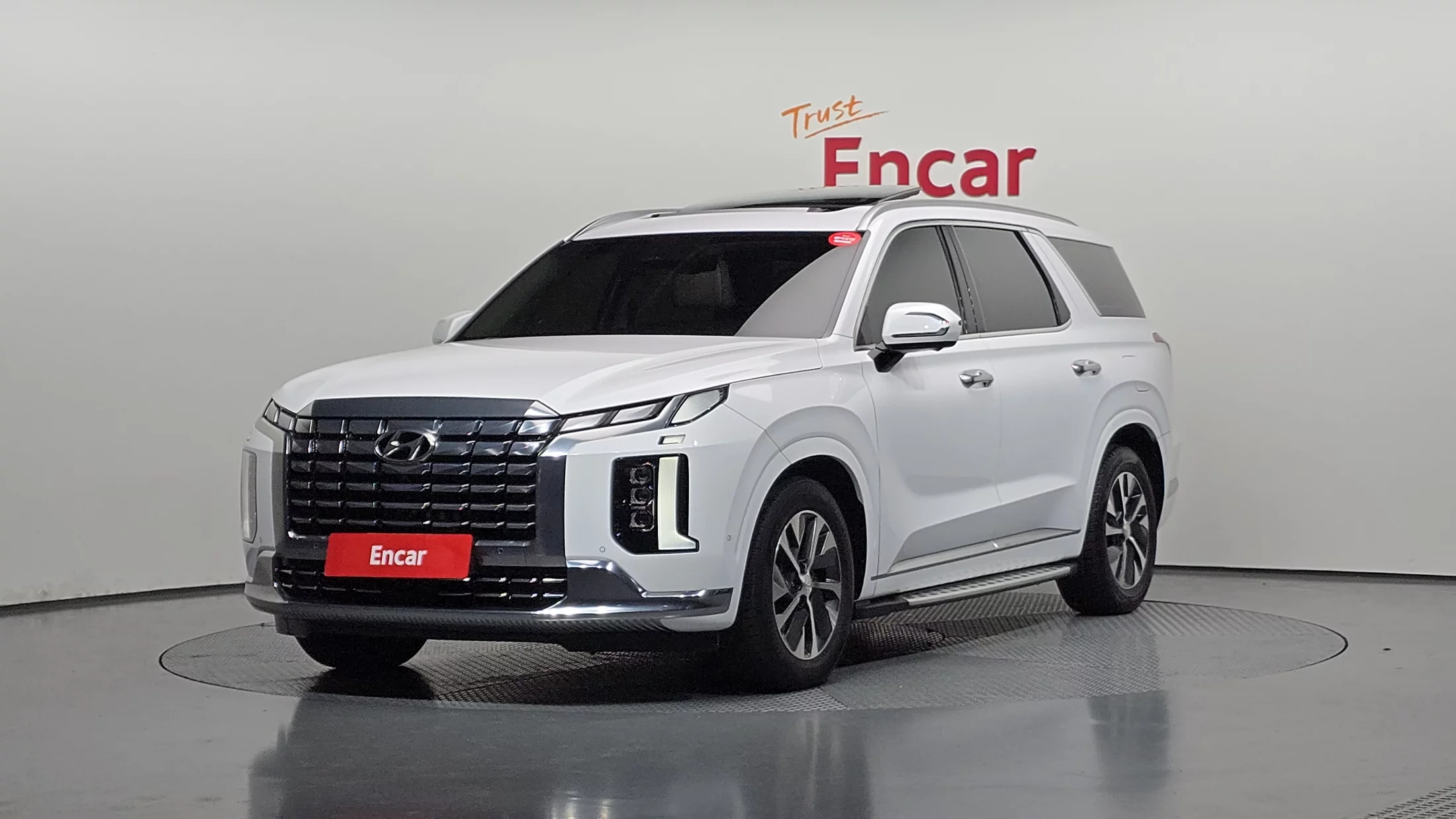 Hyundai Palisade Diesel 2.2 2Wd Calligraphy 2022