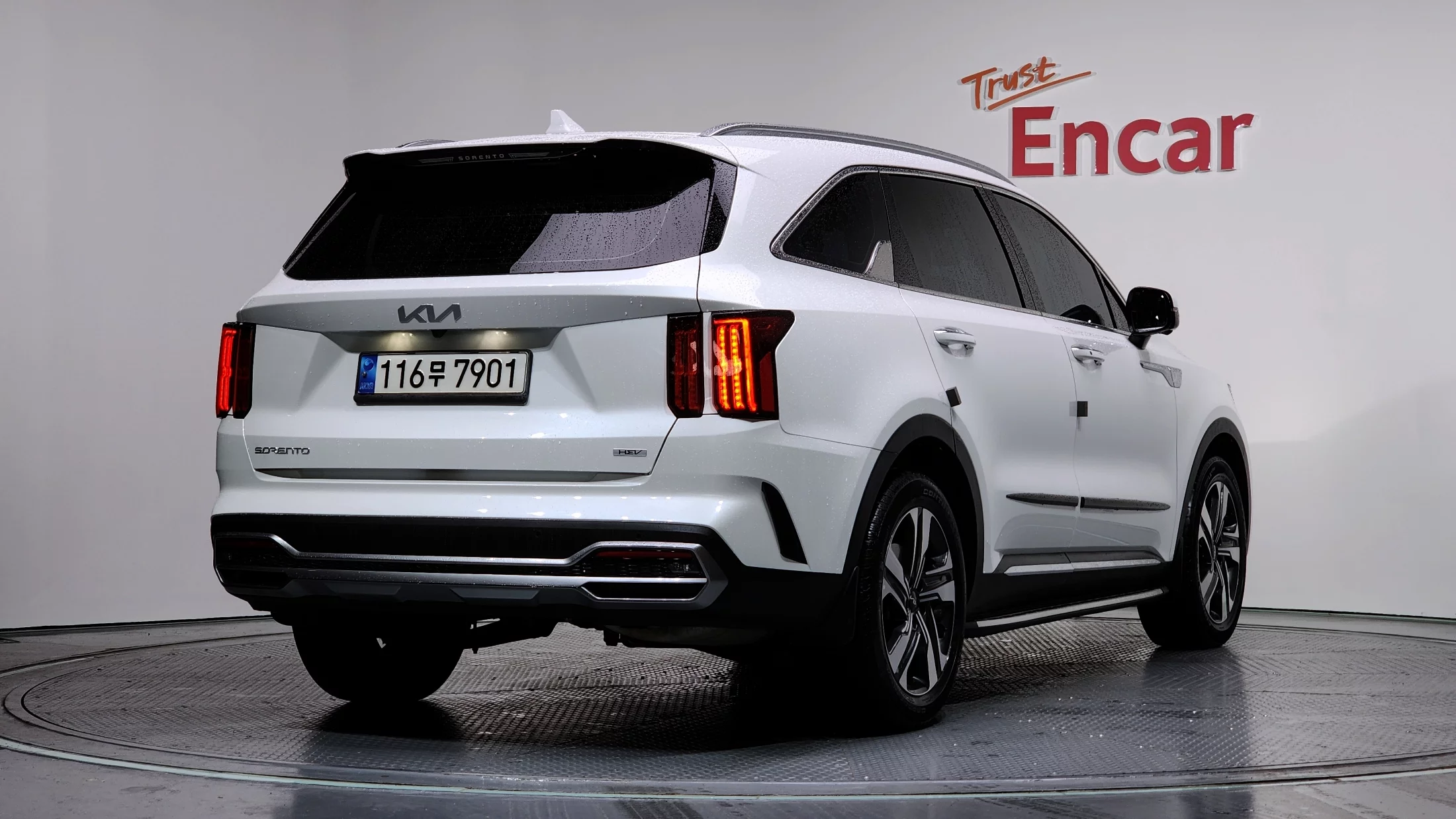 Kia Sorento Hev 1.6 2Wd Noblesse, Гибрид 2023