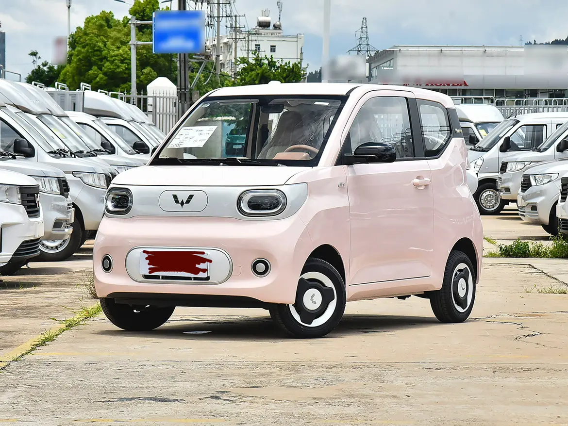 Wuling Hongguang Miniev №19650512 2025