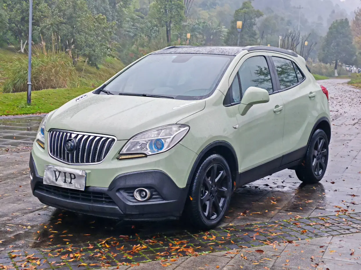 Buick Onkola №17413210 2013