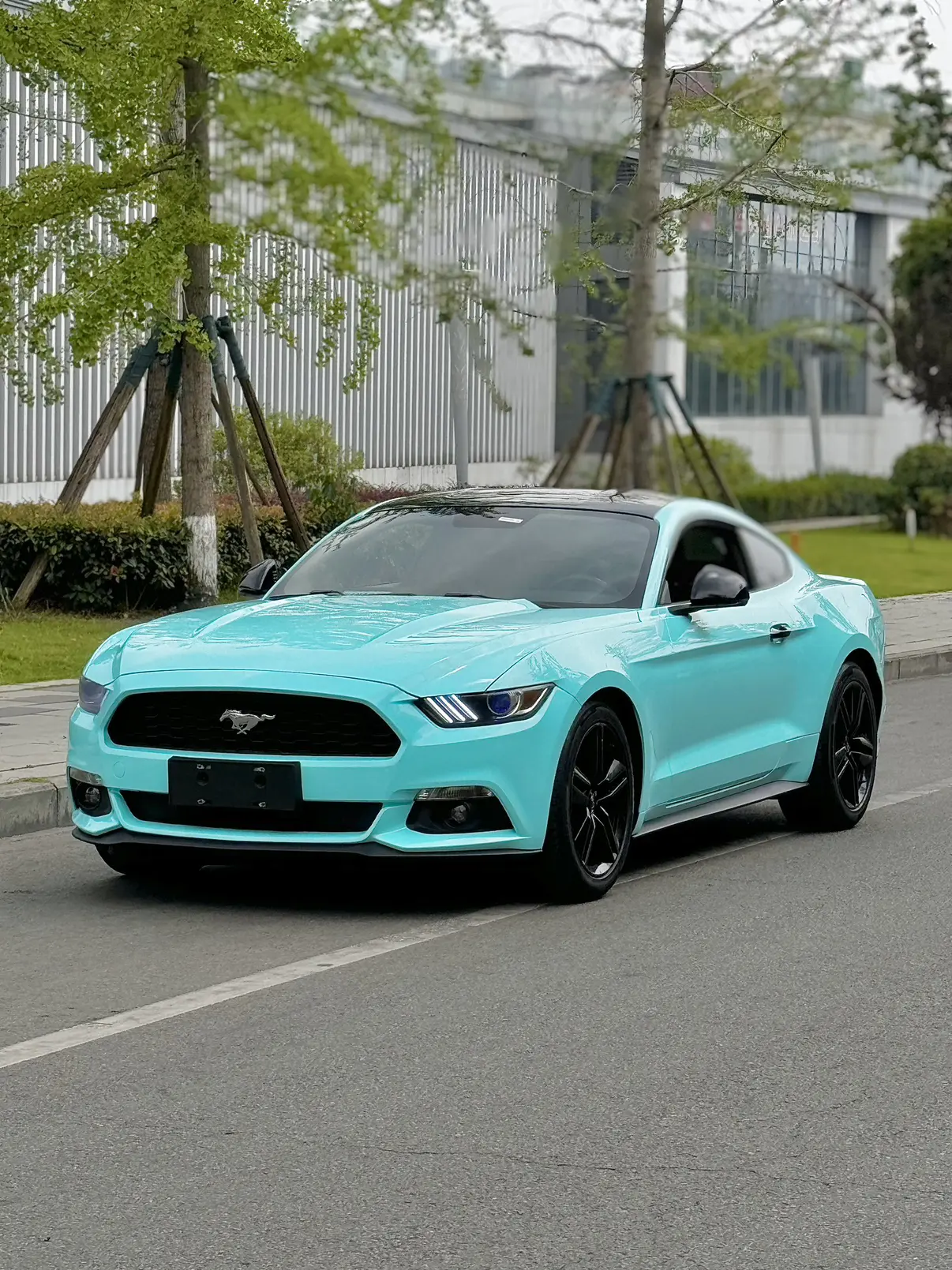 Ford Mustang VI