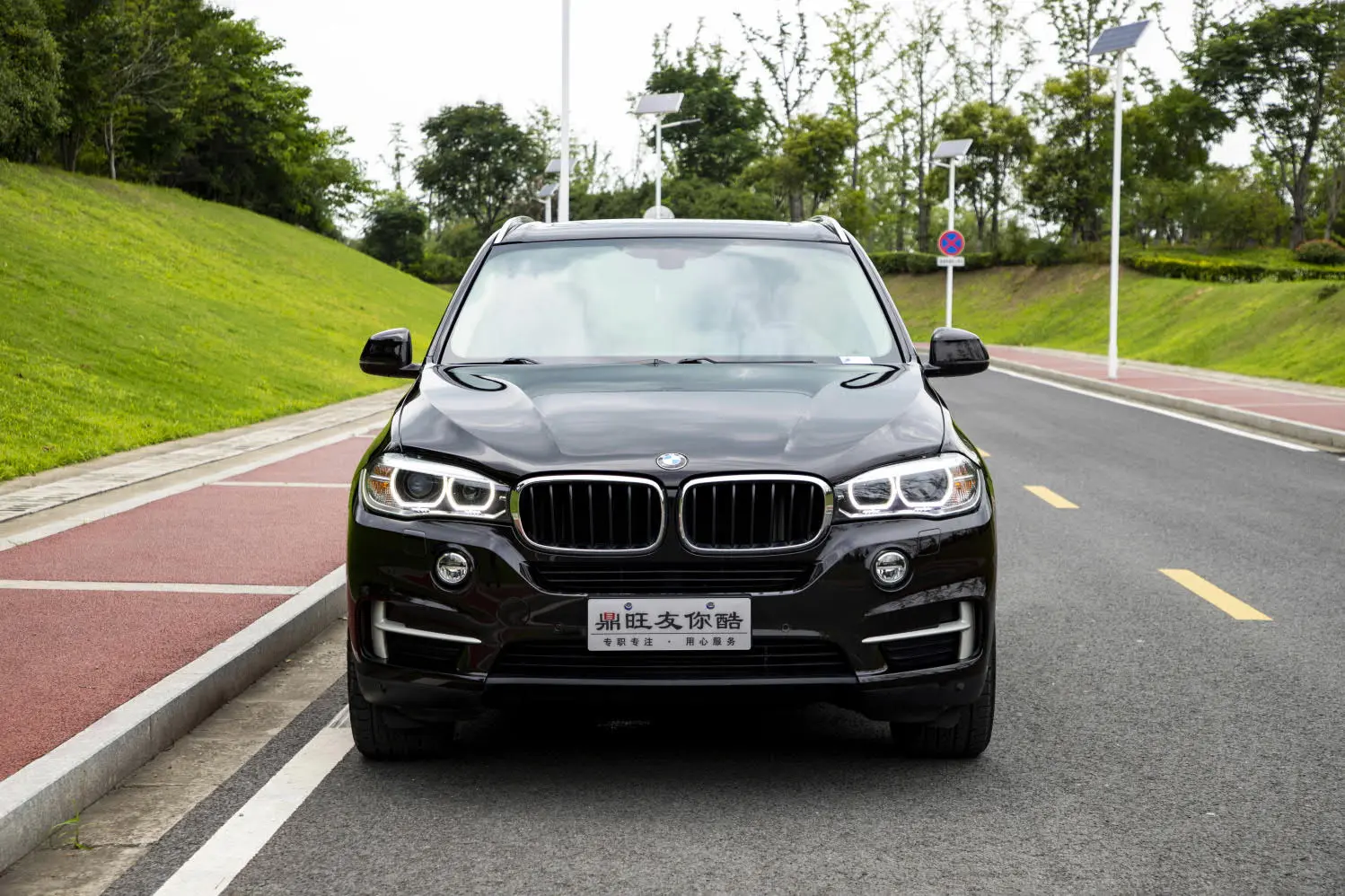 BMW X5 III (F15)