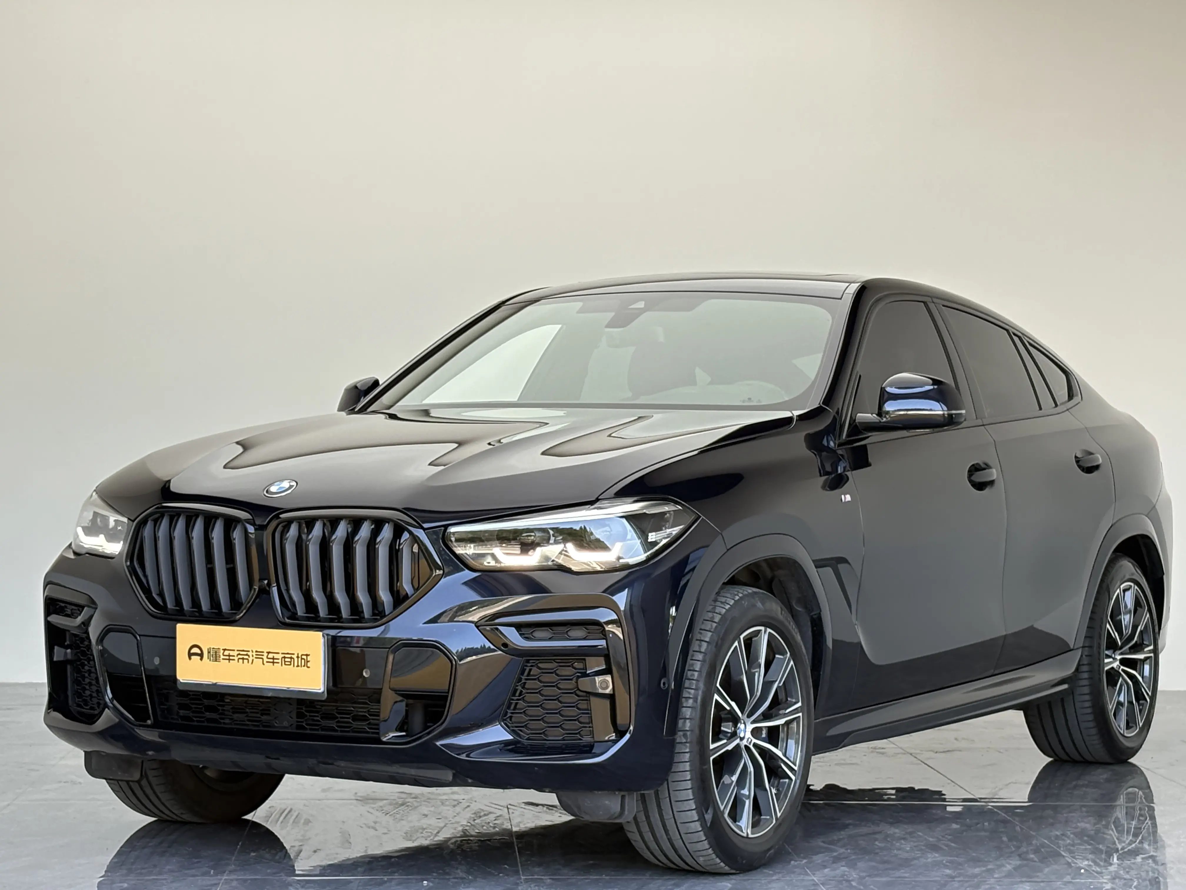 BMW X6 III (G06)
