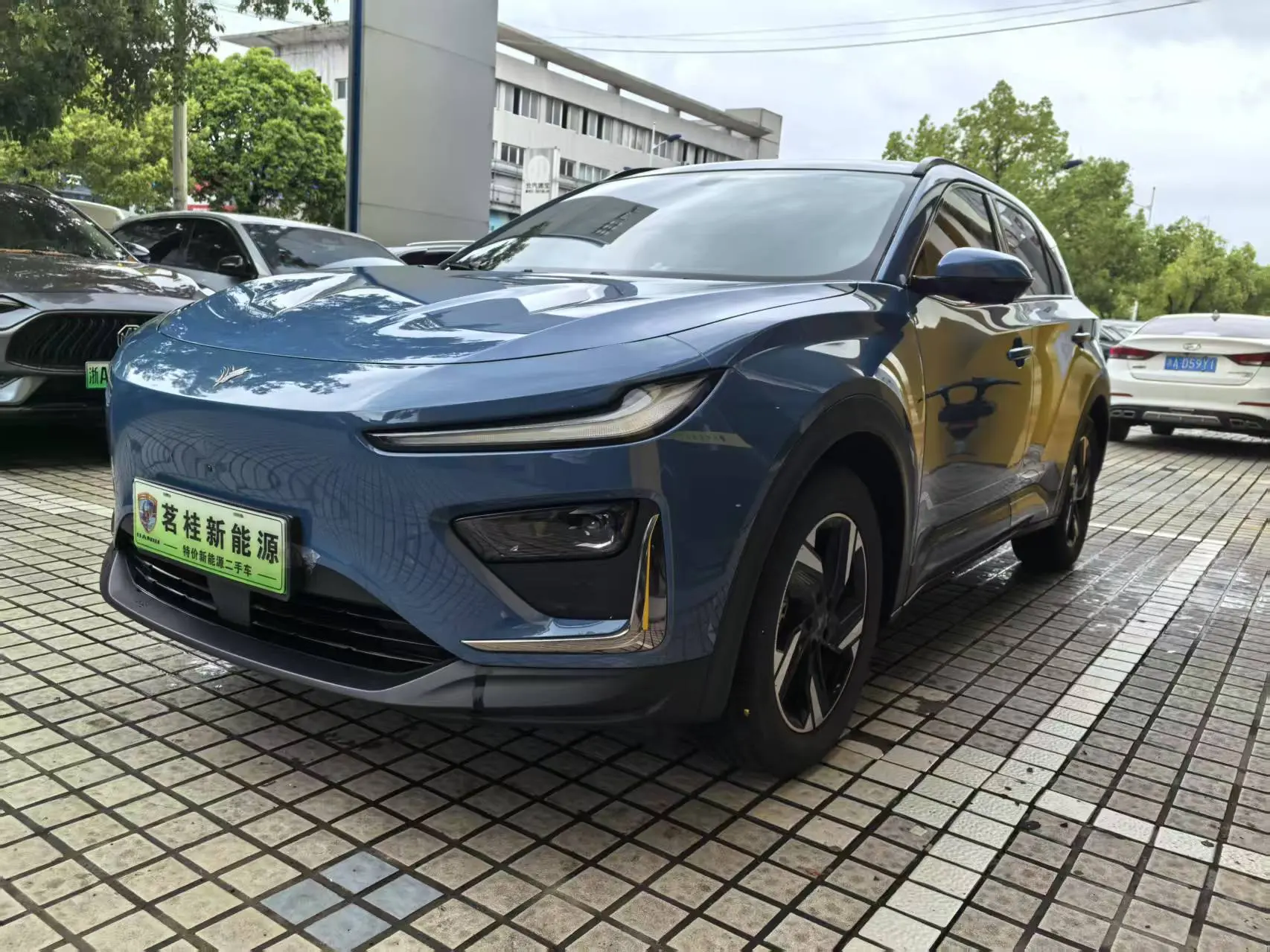 Neta Nezhax №18961897 2024