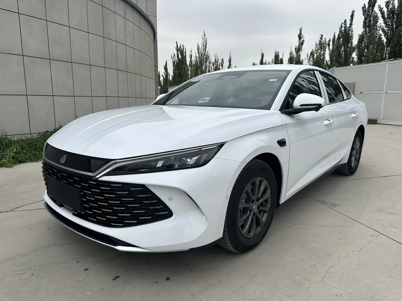 Byd Qin L Dm №20043974 2025