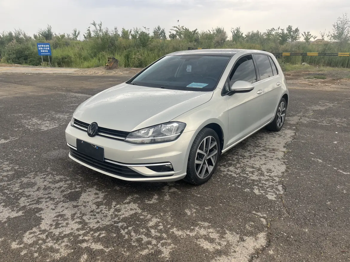 Volkswagen Golf №20096271 2018