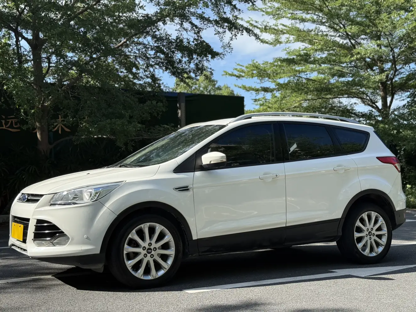 Ford Wing Tiger №19610327 2015