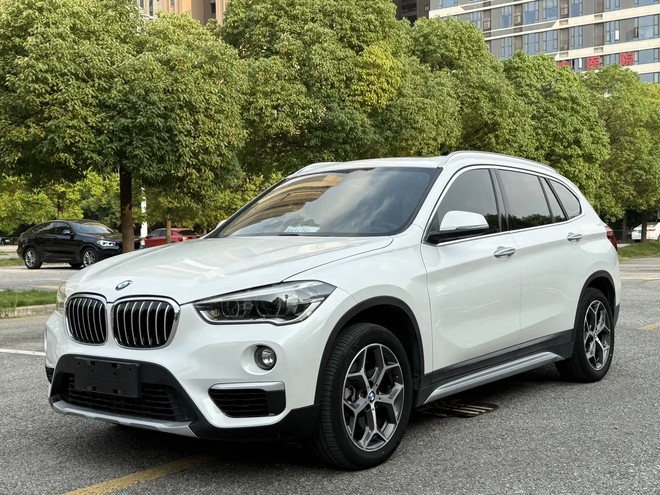 BMW X1 II (F48)