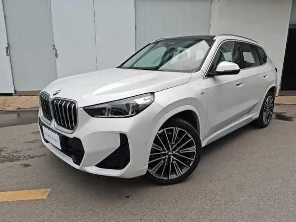 Bmw X1 №20130061 2024