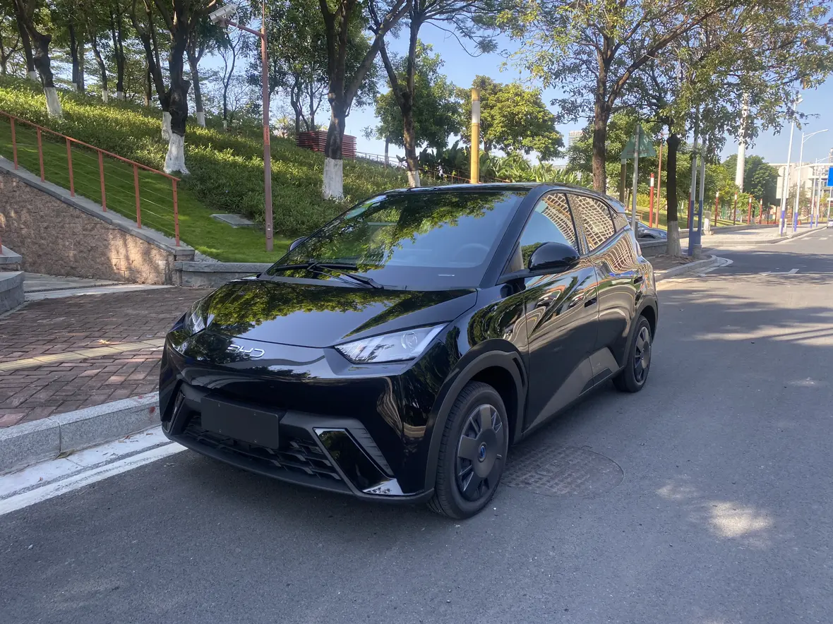 Byd Seagull №17177827 2025