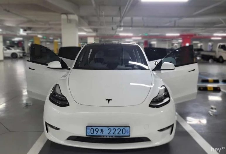Tesla Model Y I