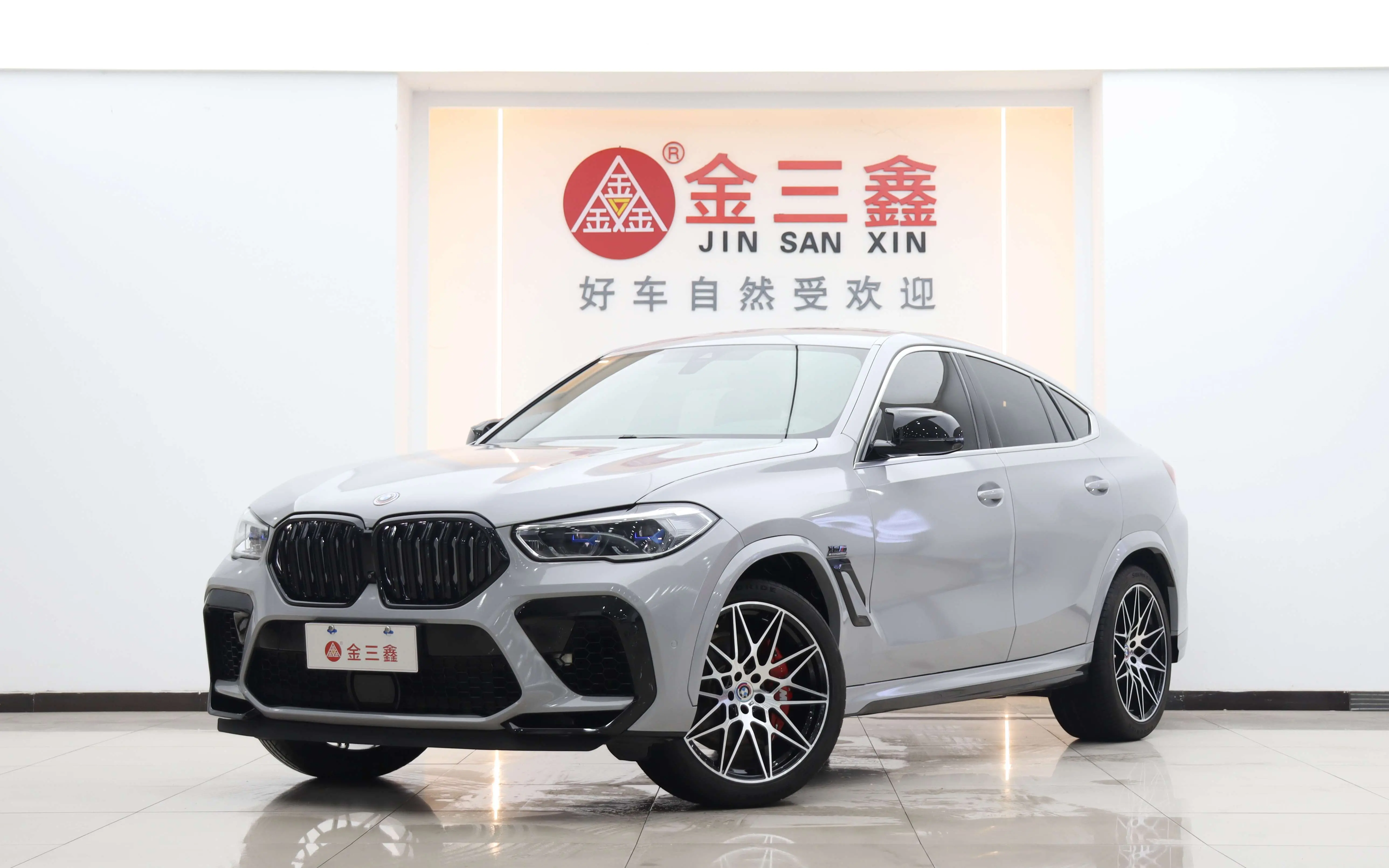 BMW X6 III (G06)