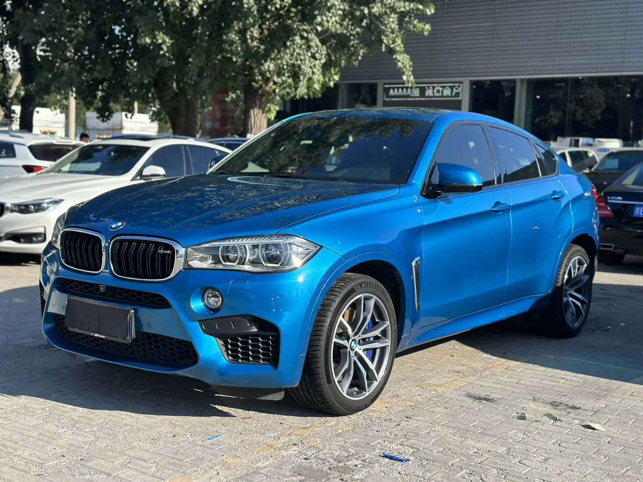 BMW X6 II (F16)