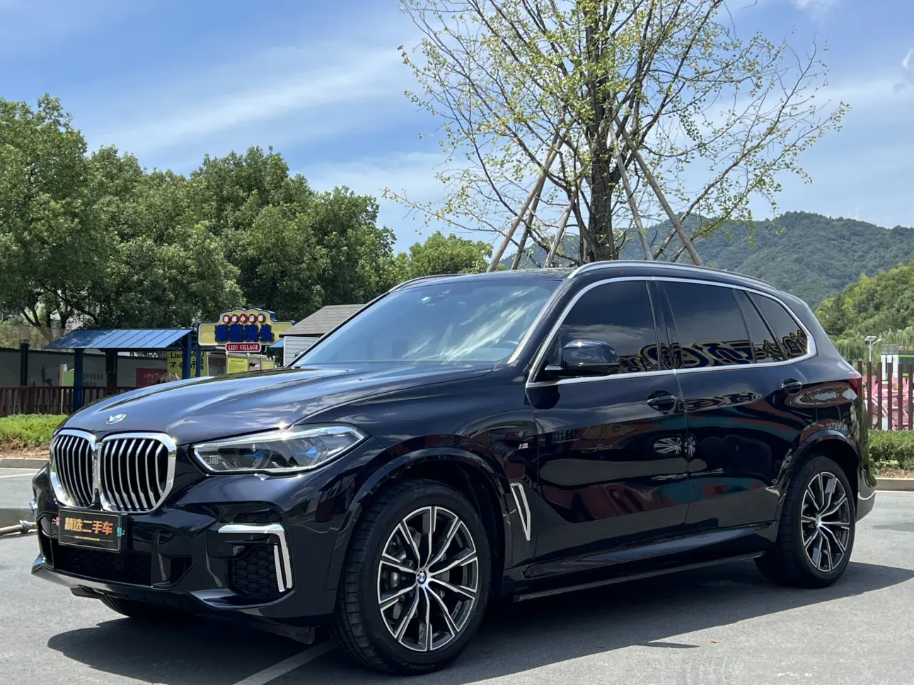BMW X5 IV (G05/G18)