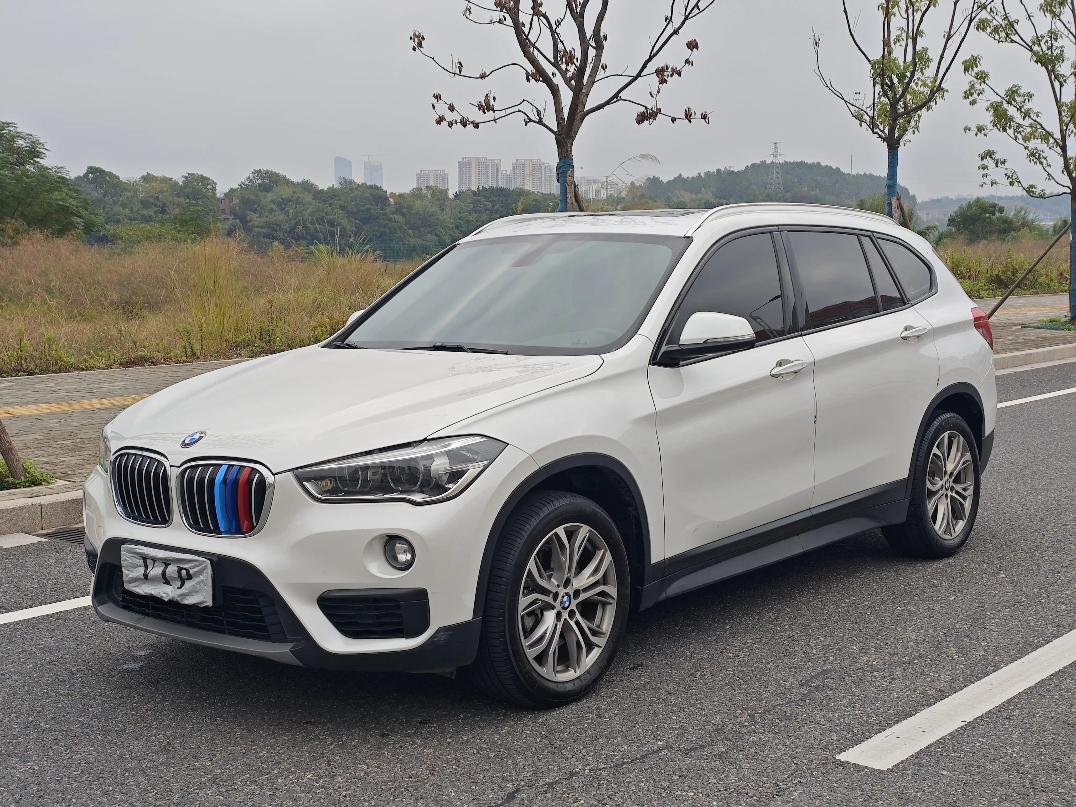 BMW X1 II (F48)