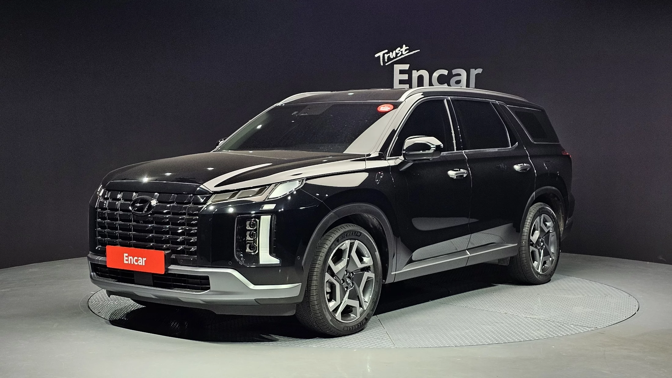 Hyundai Palisade Diesel 2.2 2Wd Le Blanc 2024