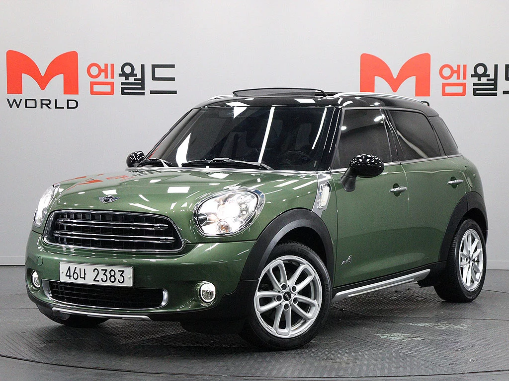 Mini Countryman I