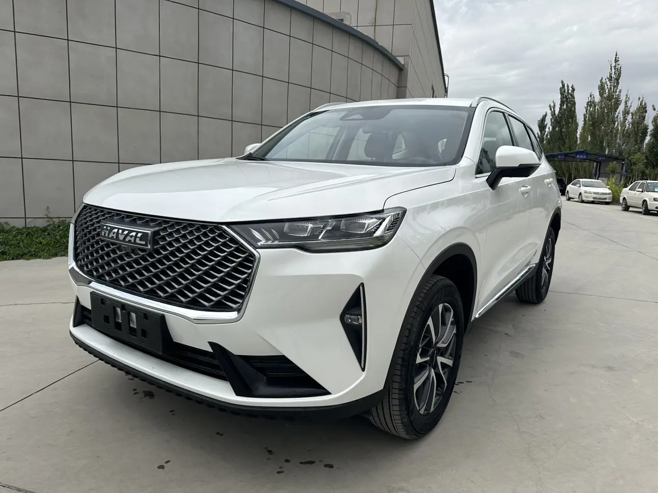 Haval H6 №20322965 2025