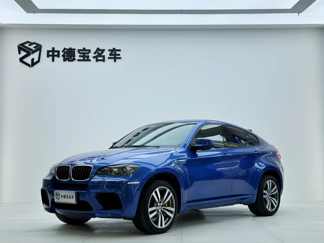 BMW X6 I (E71)