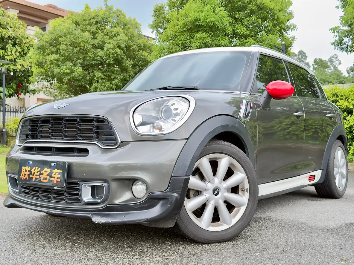 Mini Countryman I