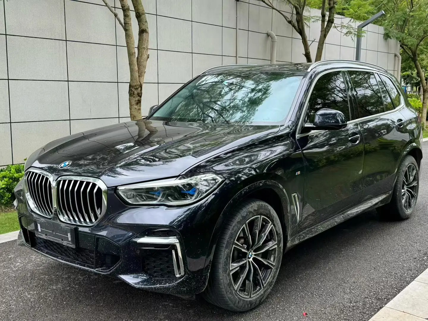 BMW X5 IV (G05/G18)