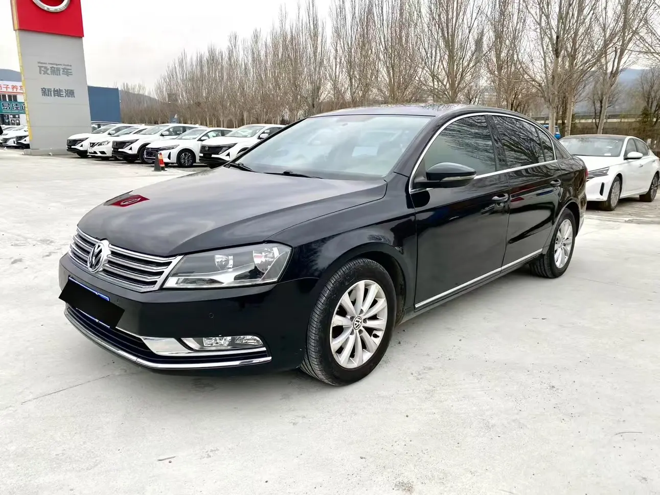 Volkswagen Magotan B8